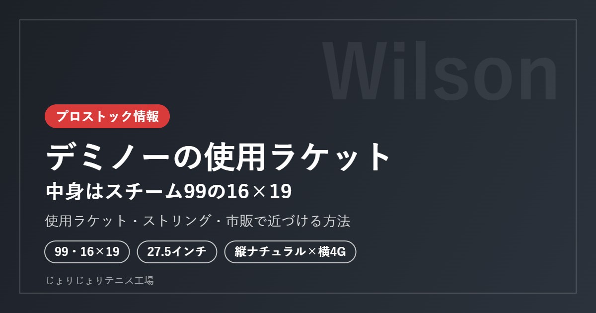 デミノーの使用ラケット