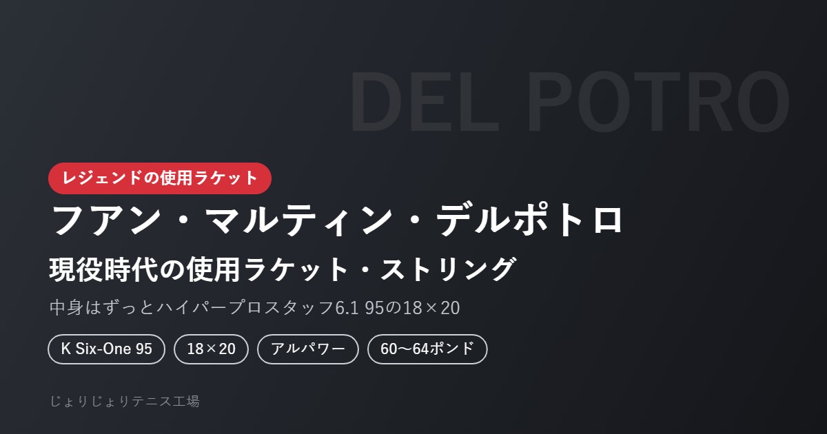 デルポトロの現役時代の使用ラケット・ストリング