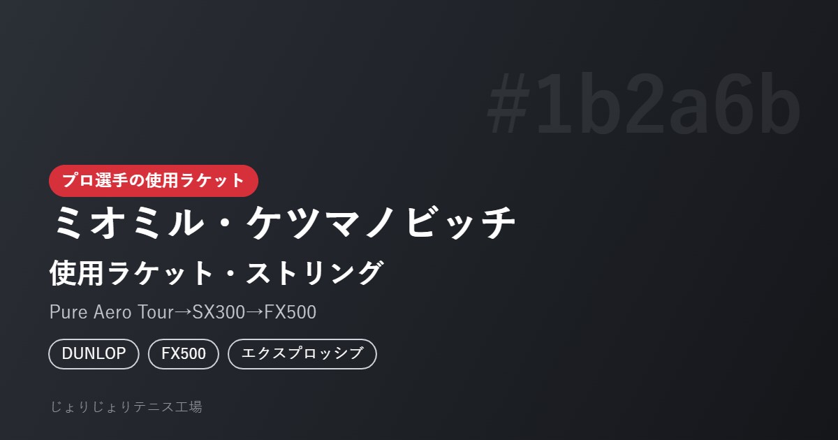ミオミル・ケツマノビッチの使用ラケット