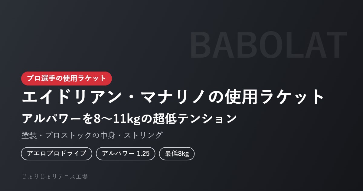 エイドリアン・マナリノの使用ラケット