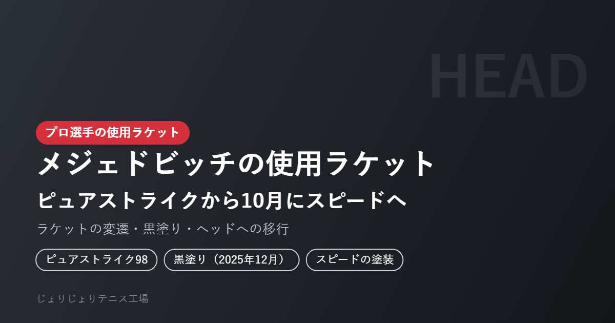 ハマド・メジェドビッチの使用ラケット
